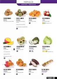 Catálogo Makro Página 71