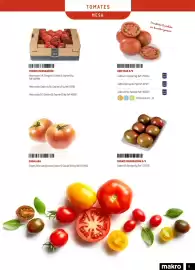 Catálogo Makro Página 9