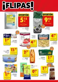 Folleto CashDiplo Página 3