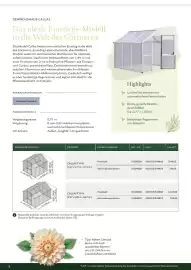 Dehner Flugblatt Seite 12