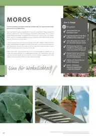 Dehner Flugblatt Seite 42