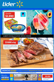 Catálogo Lider Página 1
