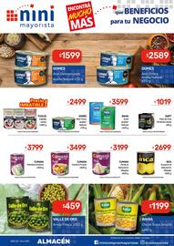 Catálogo Nini Mayorista semana 2 Página 21