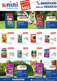 Catálogo Nini Mayorista semana 2 Página 36