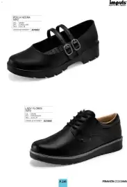 Catálogo Impuls Página 243