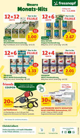 Fressnapf Flugblatt Seite 8