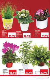 Catalog Kaufland săptămâna 2 Pagină 23