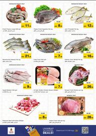 Nesto catalogue Page 13