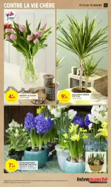 Catalogue Intermarché page 17