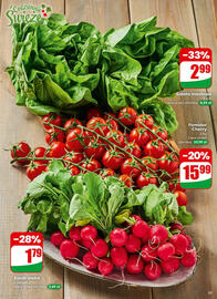 Dino gazetka tydzień 2 Strona 33