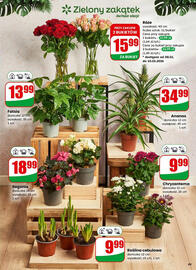 Dino gazetka tydzień 2 Strona 49