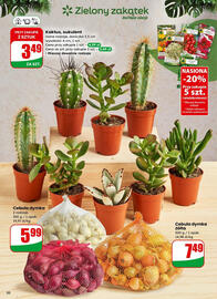 Dino gazetka tydzień 2 Strona 50