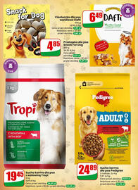 Dino gazetka tydzień 2 Strona 59