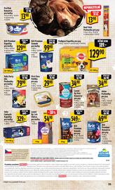 Albert leták týden 2 Strana 43