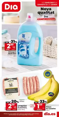 Catálogo Maxi Dia (válido hasta el 13-01)