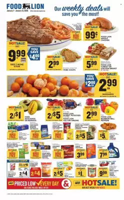 Food Lion weekly ad (valid until 13-01)
