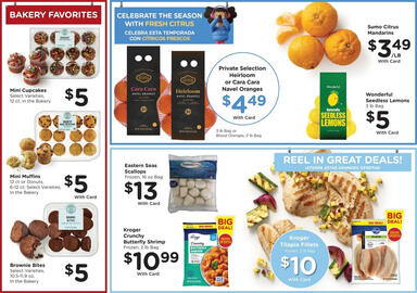 Fry's weekly ad week 2 Page 10