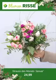 Blumen Risse Prospekt Seite 2