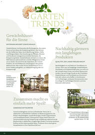 Dehner Prospekt Seite 16