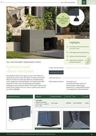 Dehner Prospekt Seite 53