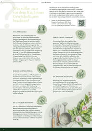 Dehner Prospekt Seite 8