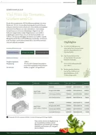 Dehner Prospekt Seite 23