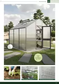 Dehner Prospekt Seite 33