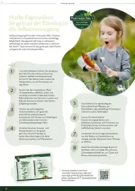 Dehner Prospekt Seite 36