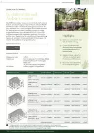 Dehner Prospekt Seite 41