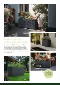 Dehner Prospekt Seite 56