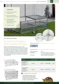 Dehner Prospekt Seite 65