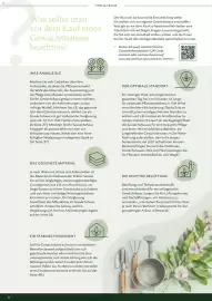 Dehner Prospekt Seite 8