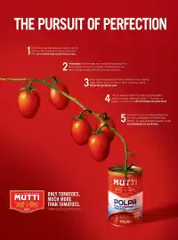 Spinneys catalogue Page 24