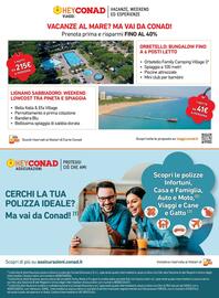Volantino Conad City settimana 2 Pagina 14