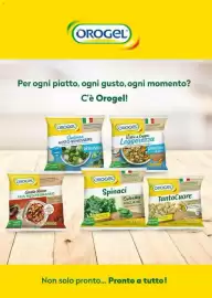 Volantino Supermercati Gulliver Pagina 11