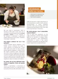 Volantino Supermercati Gulliver Pagina 26