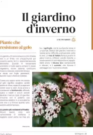 Volantino Supermercati Gulliver Pagina 28