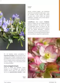 Volantino Supermercati Gulliver Pagina 30