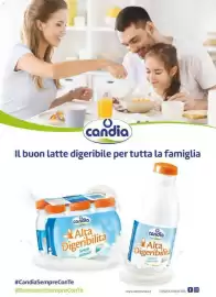 Volantino Supermercati Gulliver Pagina 61