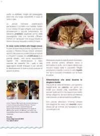 Volantino Supermercati Gulliver Pagina 88