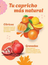 Catálogo Costco Página 102