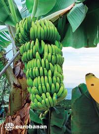 Catálogo Costco Página 142