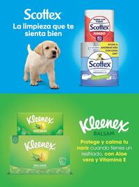 Catálogo Costco Página 156