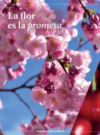 Catálogo Costco Página 94