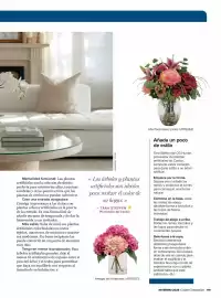 Catálogo Costco Página 119