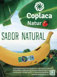 Catálogo Costco Página 143