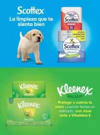 Catálogo Costco Página 156