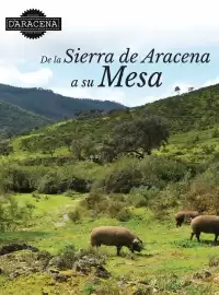 Catálogo Costco Página 38