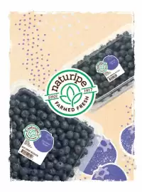 Catálogo Costco Página 72