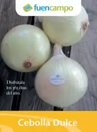 Catálogo Costco Página 83